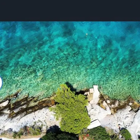 Bellezza Drvenik Veliki